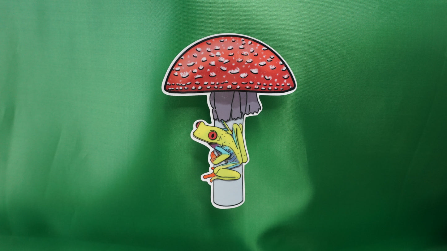 Red-Eyed Tree Frog on a Mushroom (Agalychnis callidryas on Amanita muscaria) - Fine Art Sticker - Various Sizes