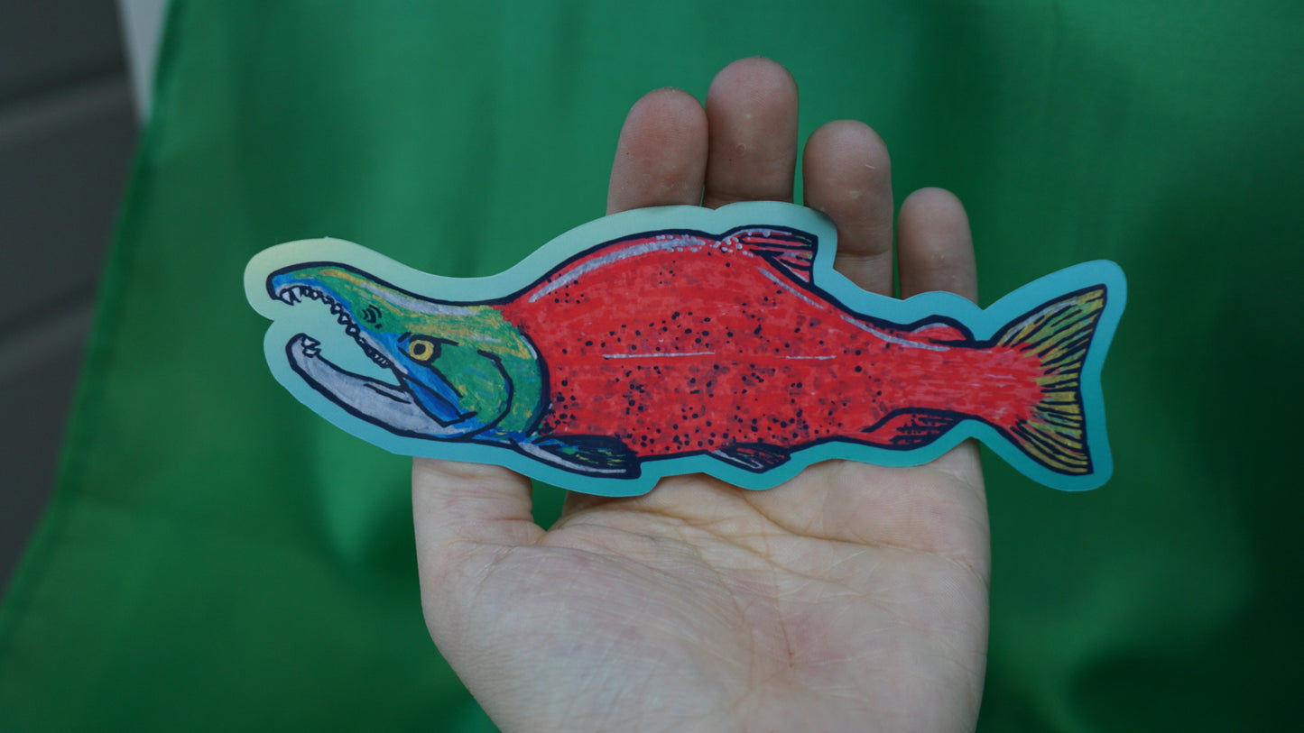 Sockeye Salmon - Oncorhynchus nerka - Fine Art Sticker - Various Sizes