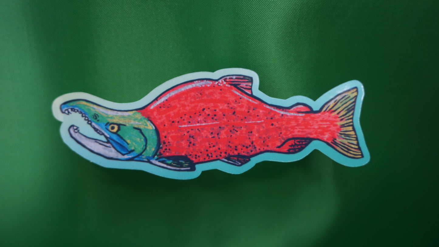 Sockeye Salmon - Oncorhynchus nerka - Fine Art Sticker - Various Sizes