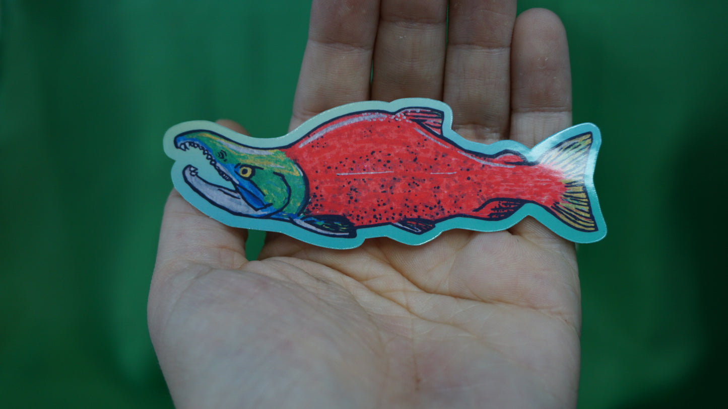 Sockeye Salmon - Oncorhynchus nerka - Fine Art Sticker - Various Sizes