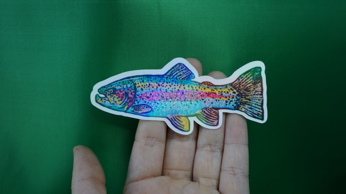 Rainbow Trout - Oncorhynchus mykiss - Fine Art Sticker - Iridescent - Various Sizes