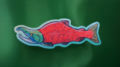 Sockeye Salmon - Oncorhynchus nerka - Fine Art Sticker - Various Sizes