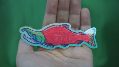 Sockeye Salmon - Oncorhynchus nerka - Fine Art Sticker - Various Sizes